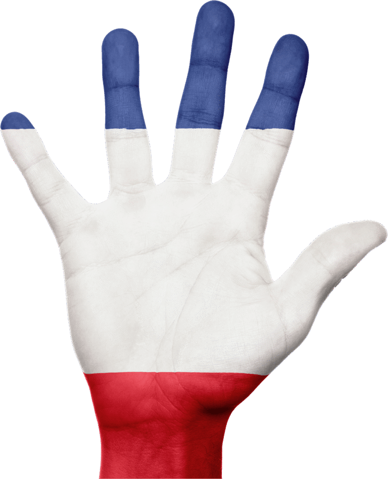 france, flag, hand, french, patriotic, patriotism, european, country, new caledonia, caledonia, saint martin, saint barthelemy, saint pierre and miquelon, wallis, futuna